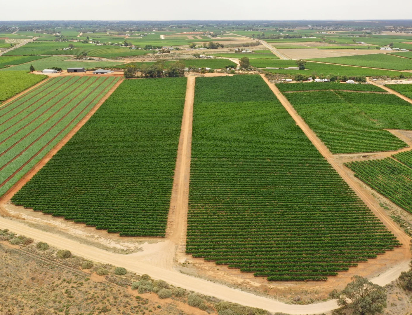 Additional image 2 of 151 ELEPHANT TRUNK ROAD, Cobdogla SA 5346