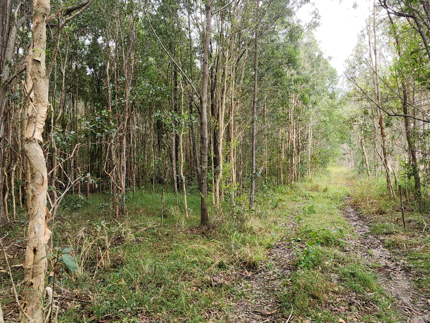 Additional image 19 of 27 Platers Road, Gulmarrad NSW 2463