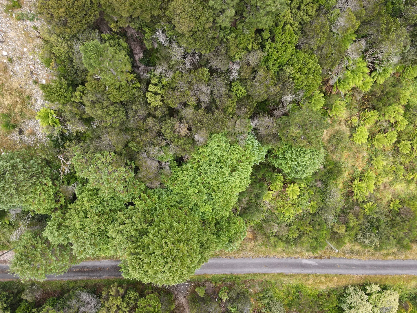 Additional image 3 of 24 Crotty Street, Queenstown TAS 7467