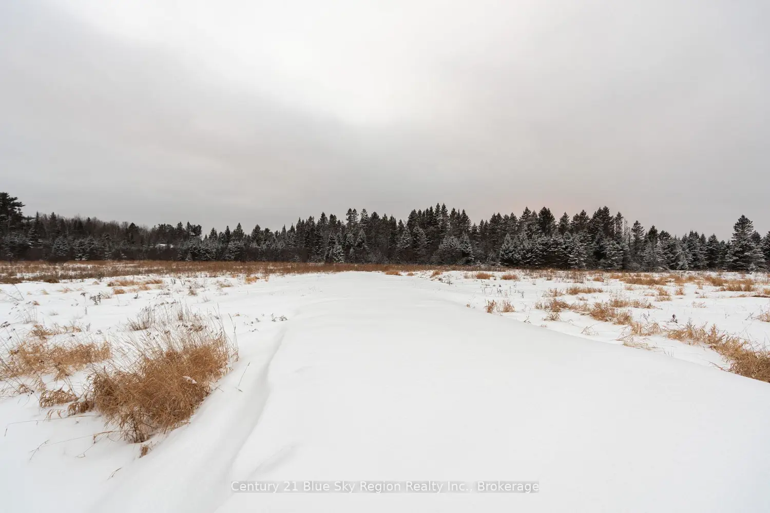 Additional image 4 of 1185 Corbeil Road