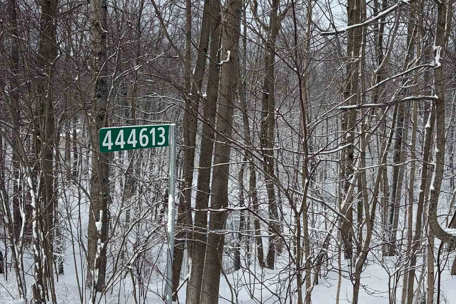 Additional image 2 of 444613 Concession 8