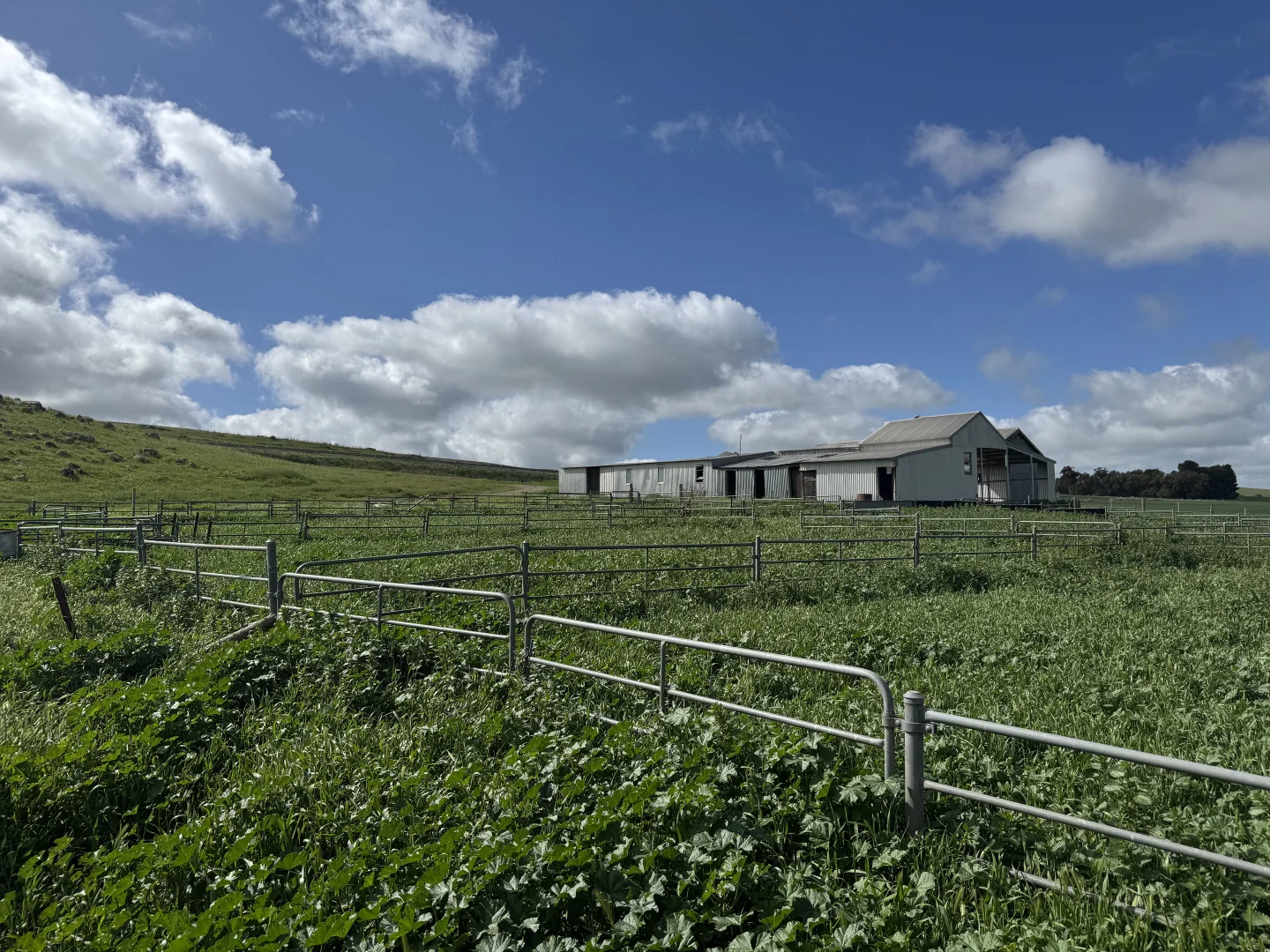 Additional image 15 of 2489 R M Williams Way, Spalding SA 5454