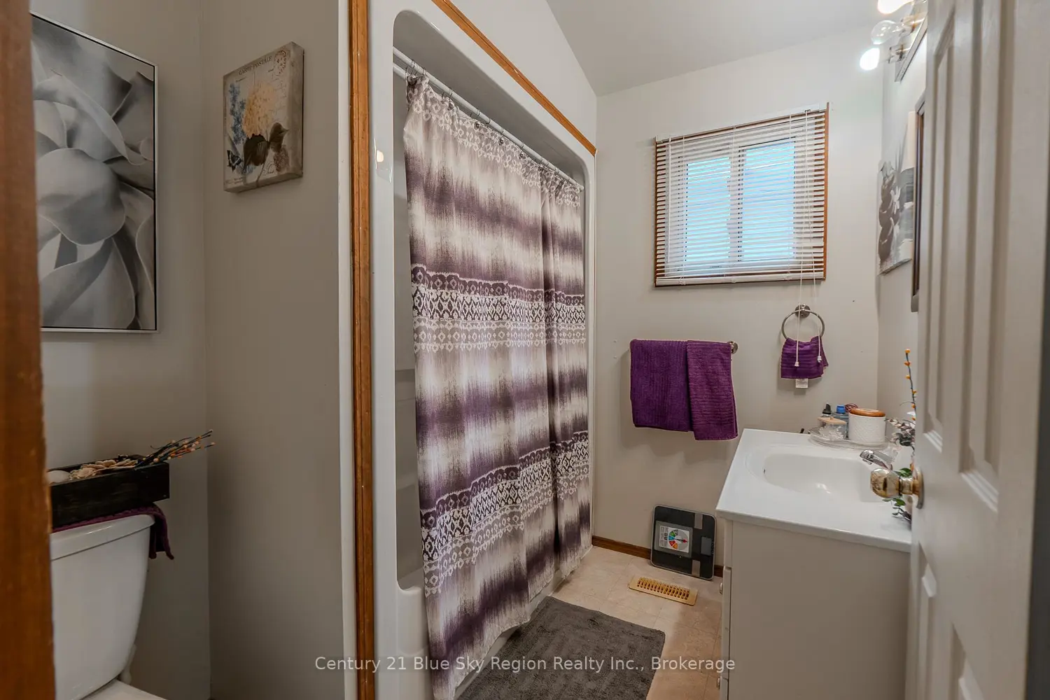 Additional image 7 of 242 Princess Street