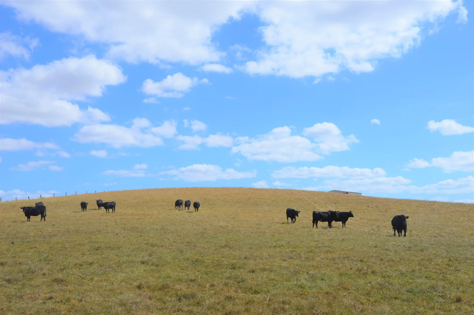 Additional image 9 of 180 Old Koonwarra-Meeniyan Road, Koonwarra VIC 3954