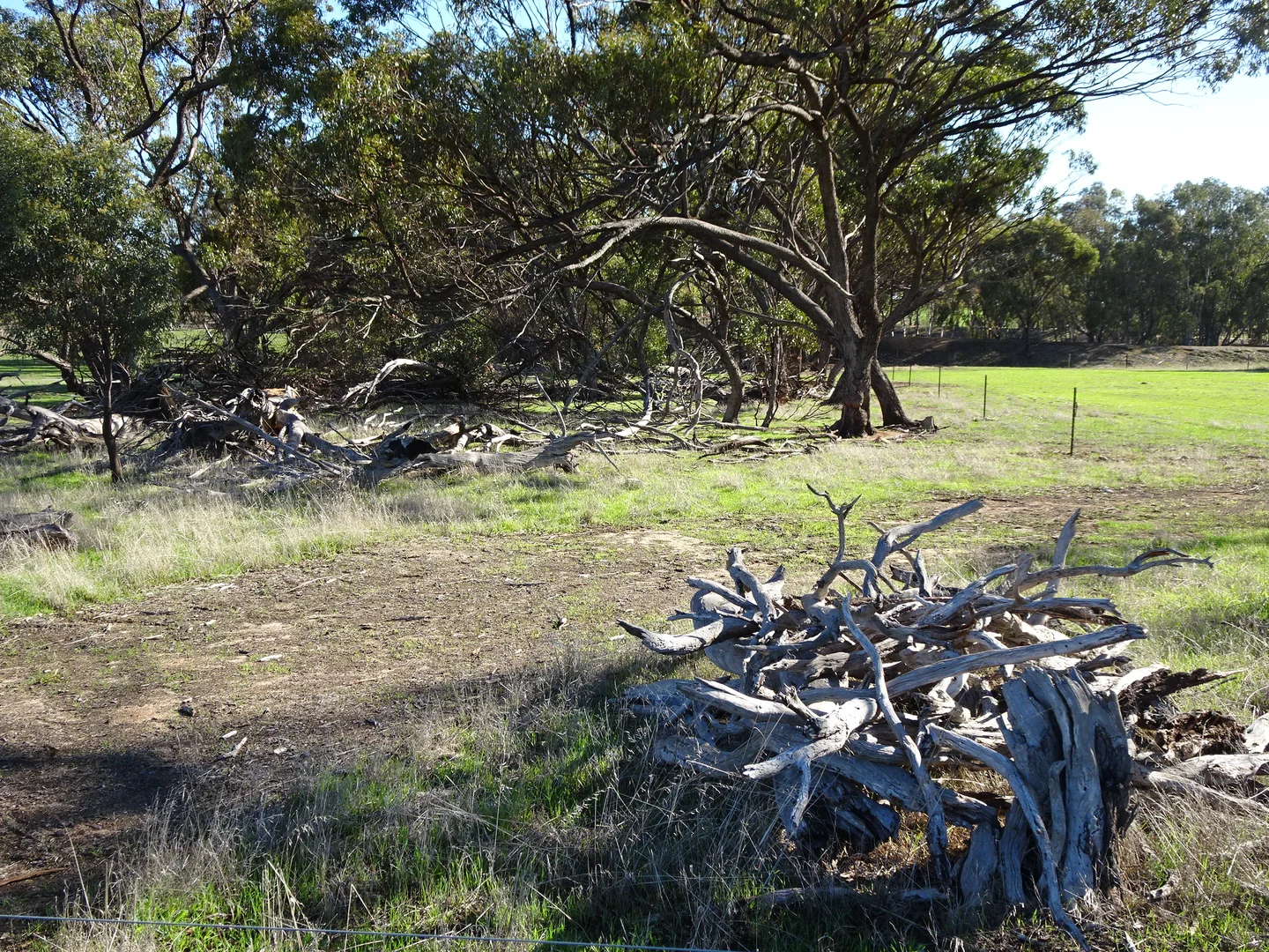 Additional image 32 of Shaddick Road, East Pingelly WA 6308