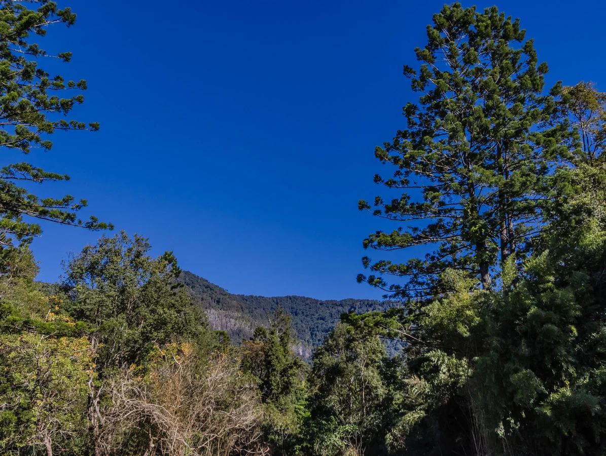 Additional image 19 of 175 Midginbil Road, Midginbil NSW 2484