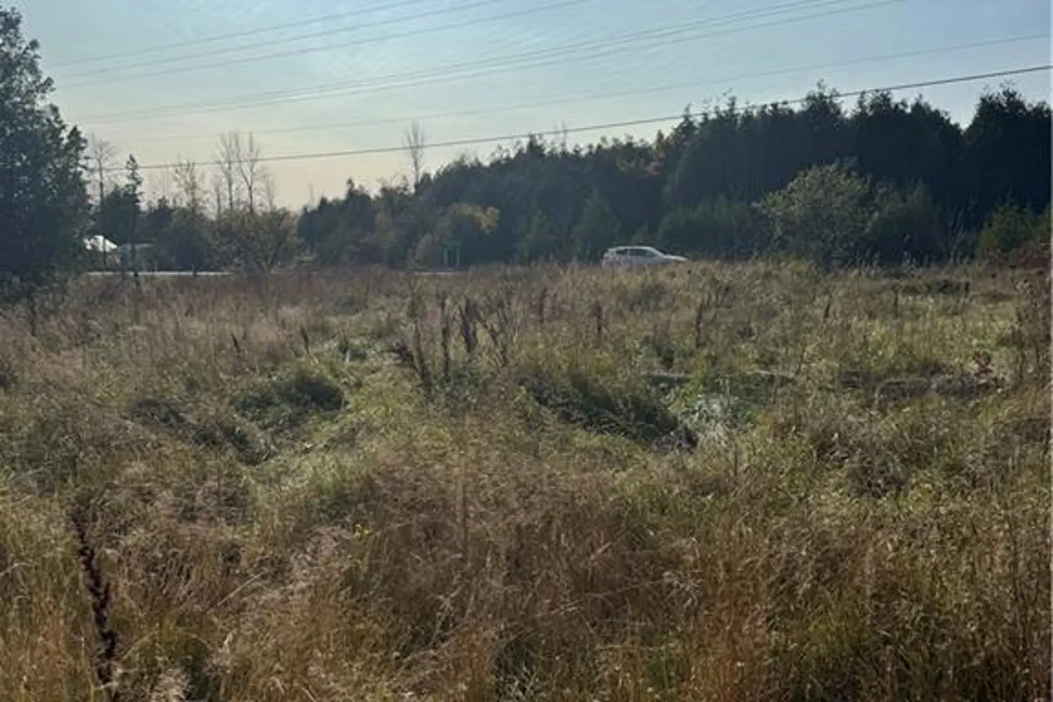 Additional image 4 of 3288 Hwy 6