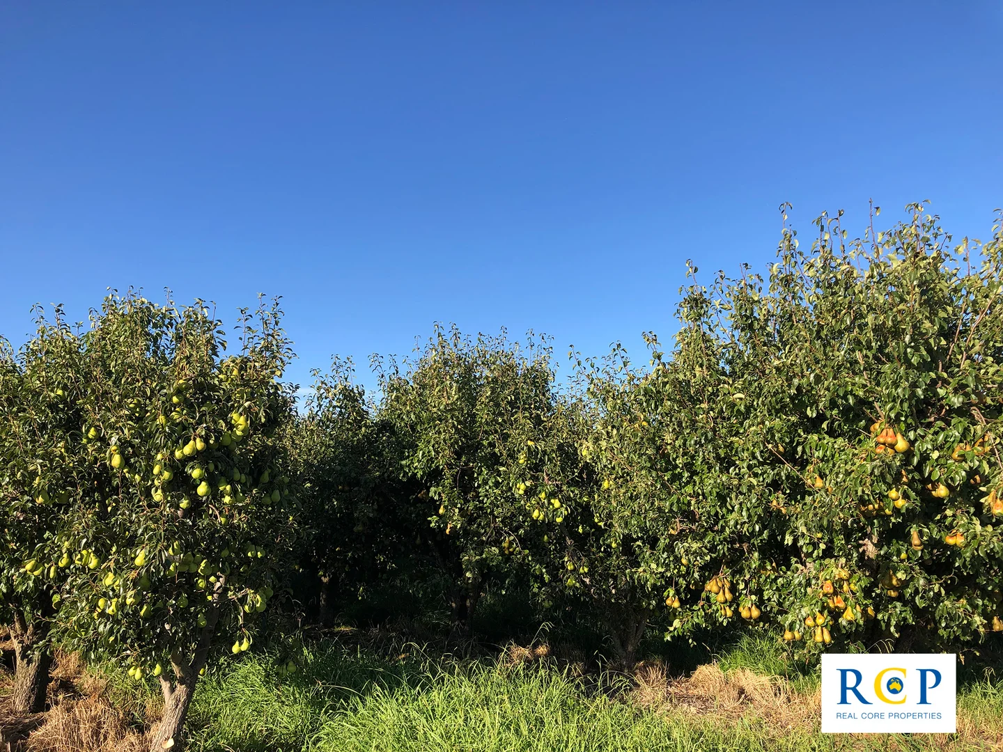 Additional image 11 of 275 Channel Road, Orrvale VIC 3631