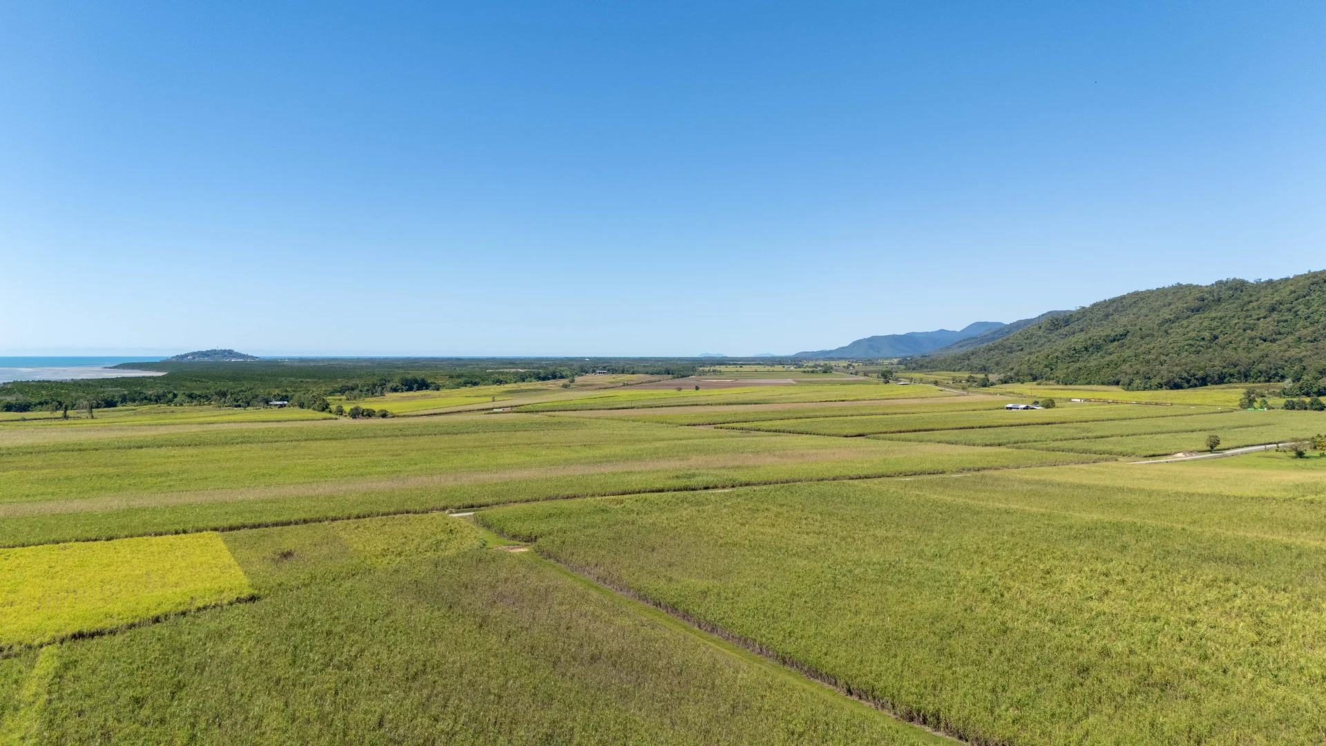 Additional image 39 of 93 Santarossa Road, Cooya Beach QLD 4873