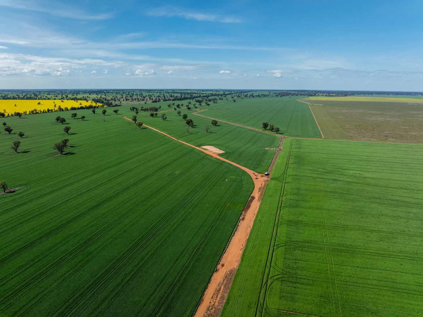 Additional image 14 of 90 Kilnyana Road, Savernake NSW 2646