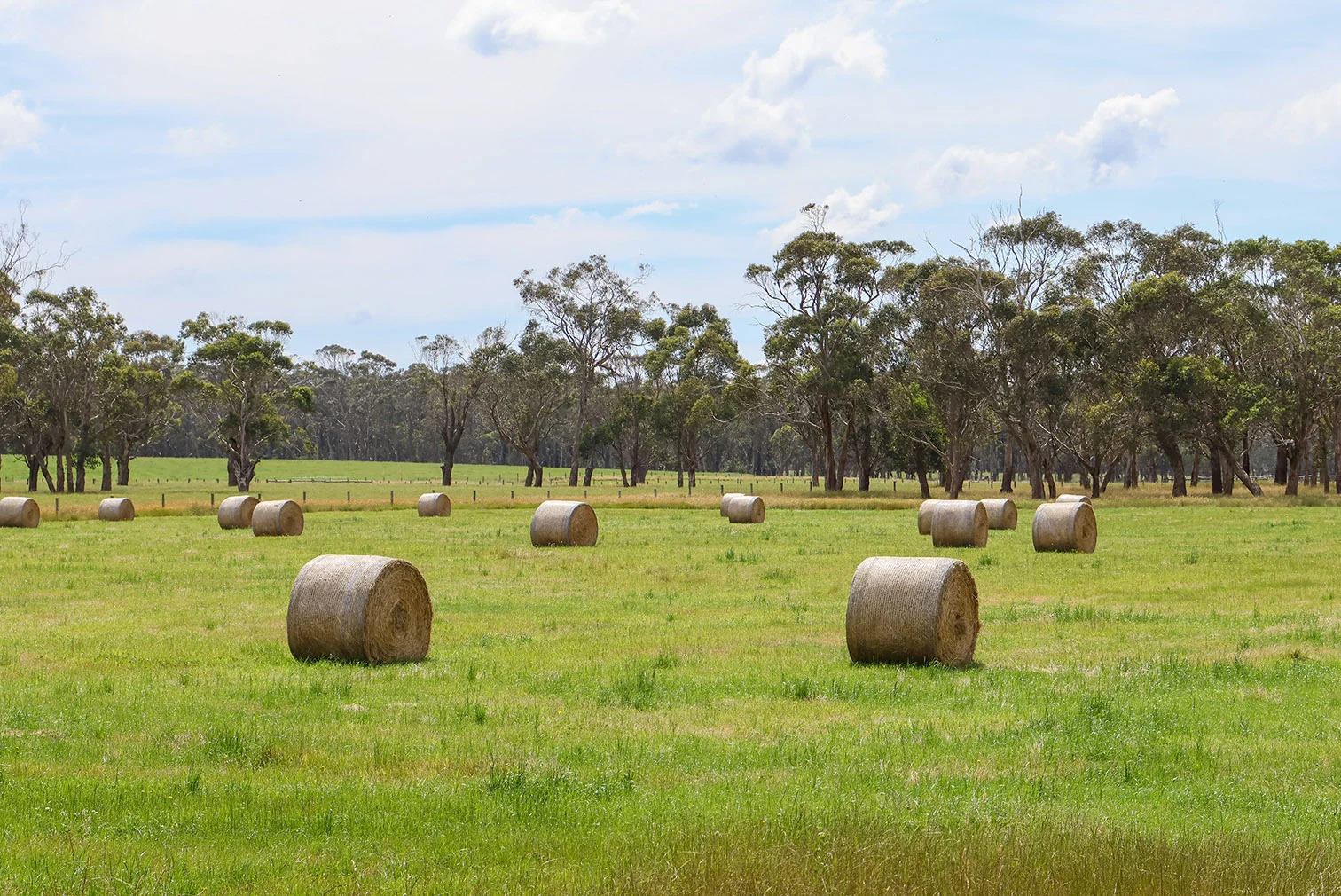Additional image 9 of 211 Rollos Road, Panmure VIC 3265