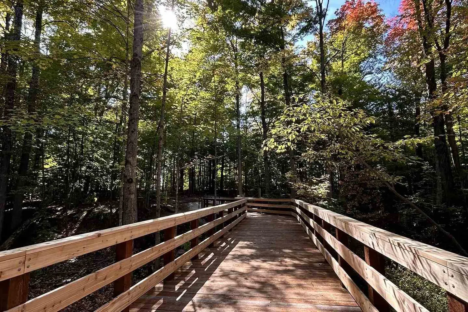 Additional image 20 of 555 William Graham Drive 351