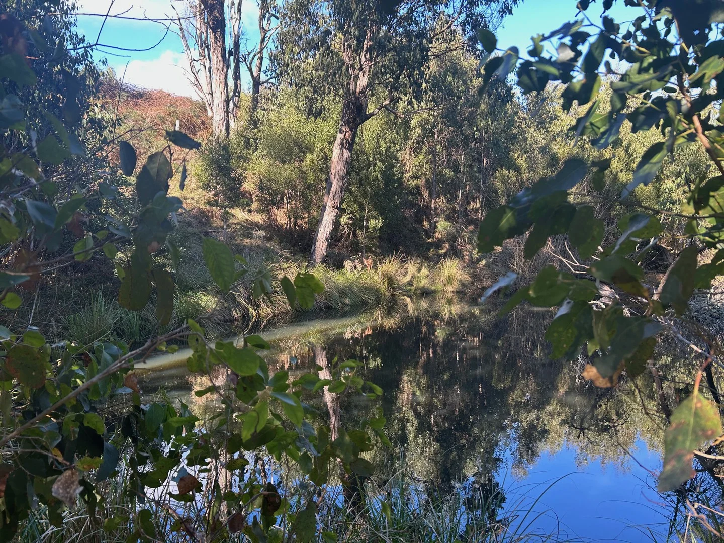 Additional image 8 of 1240 Daylesford-Trentham Road, Lyonville VIC 3461