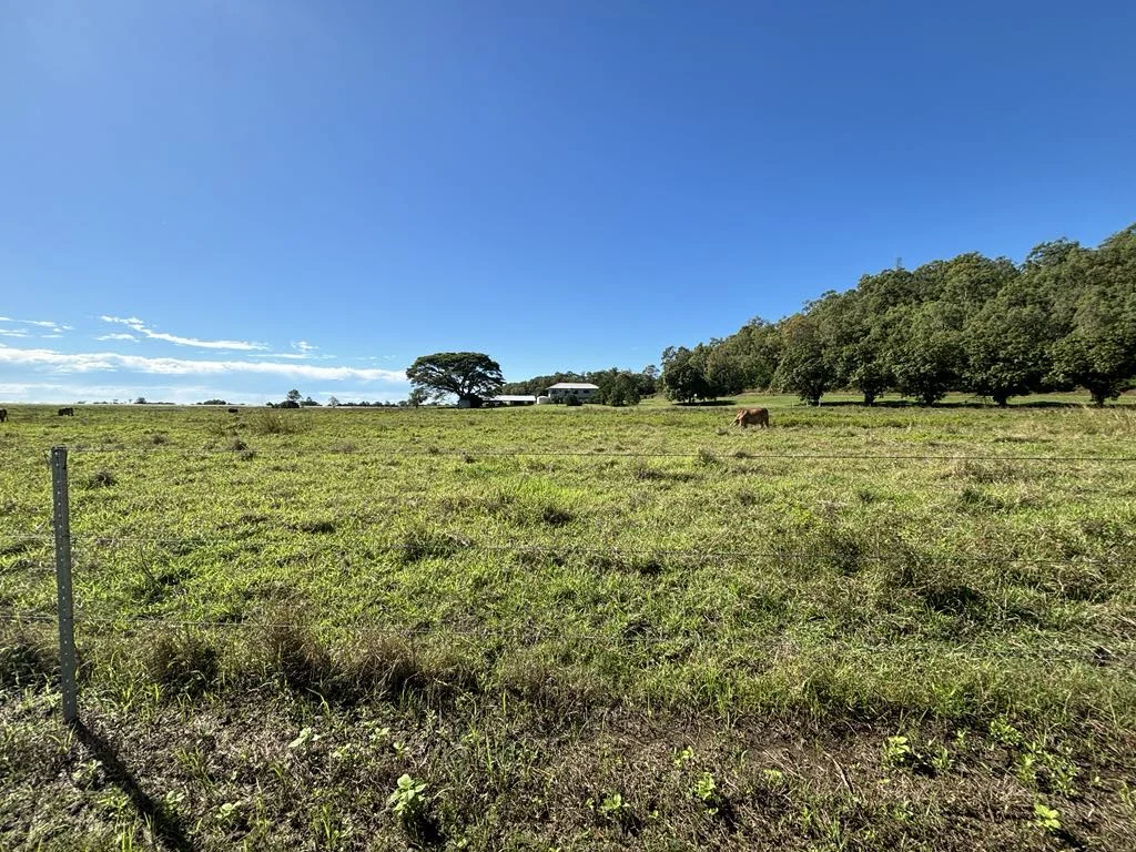 Additional image 18 of 25 Lions Lookout Road, Blackrock QLD 4850