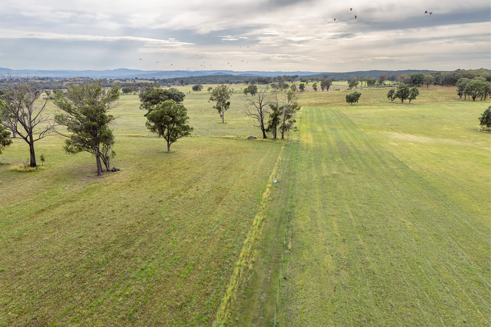 Additional image 7 of 739 Stannifer Road, Stannifer NSW 2369