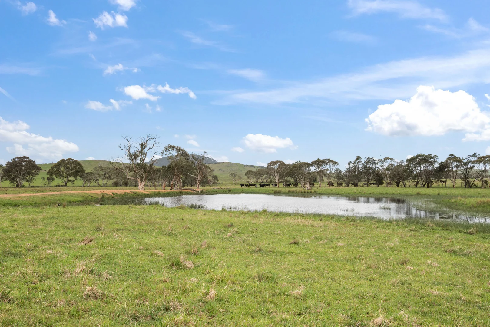 Additional image 24 of 536 Cooma Road, Braidwood NSW 2622