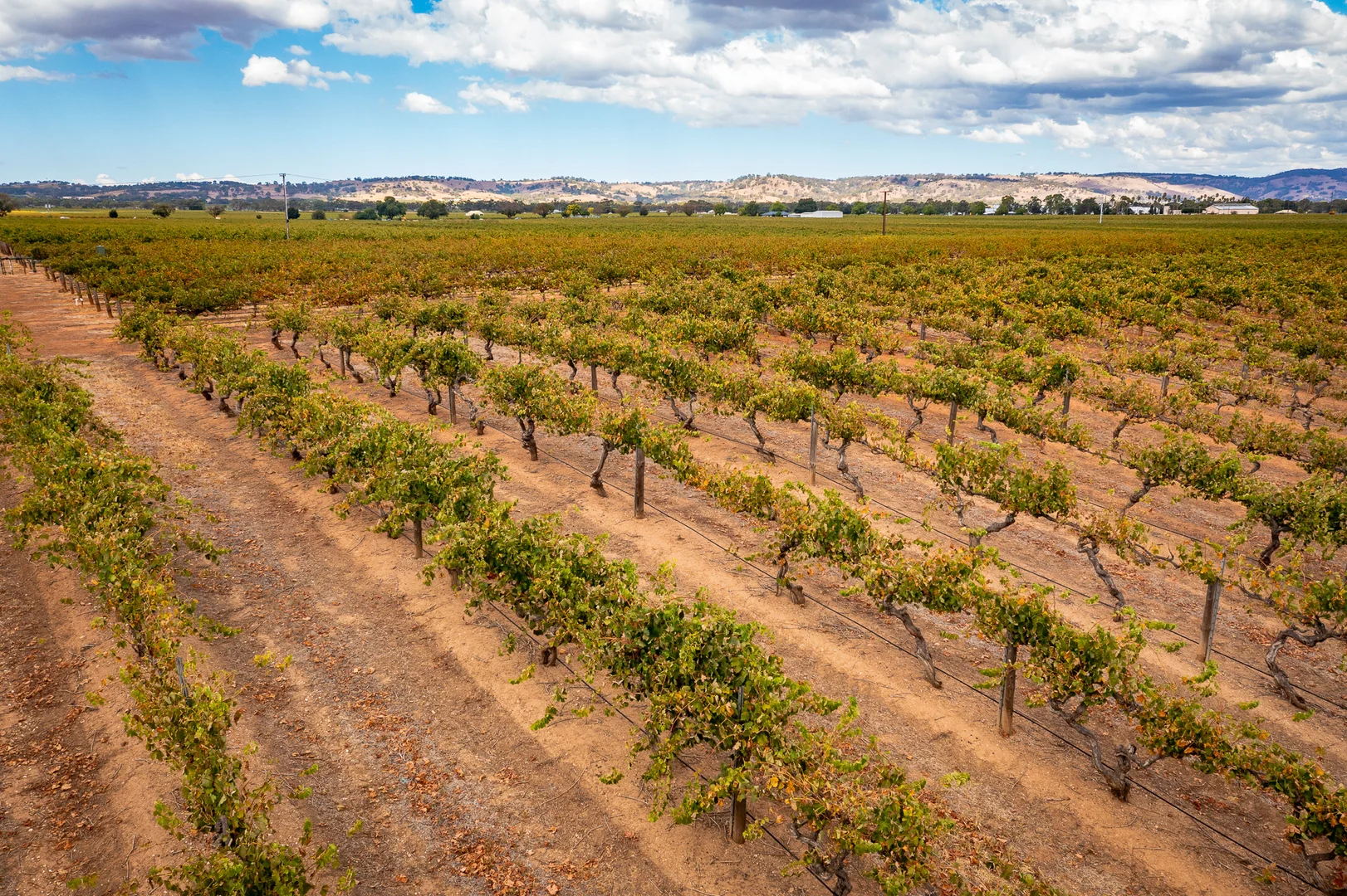 Additional image 8 of Lot 91 Nuraip Road, Nuriootpa SA 5355