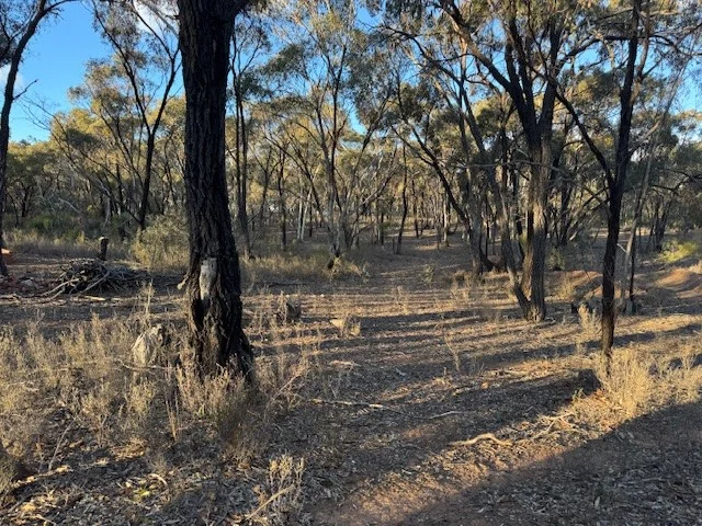Additional image 4 of 2LP Josephine Drive, Wedderburn VIC 3518