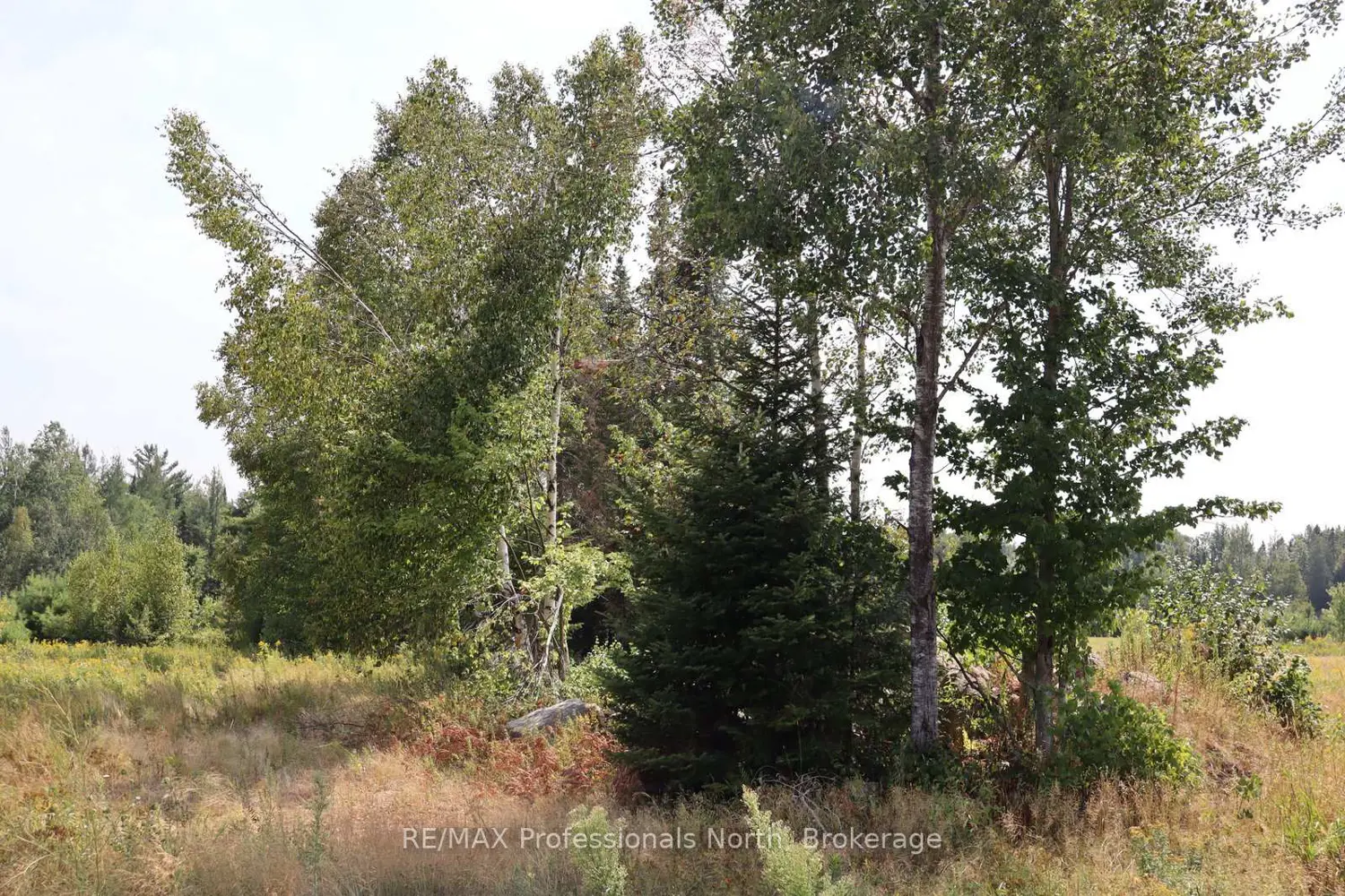 Additional image 5 of 1043 Piper Glen Road