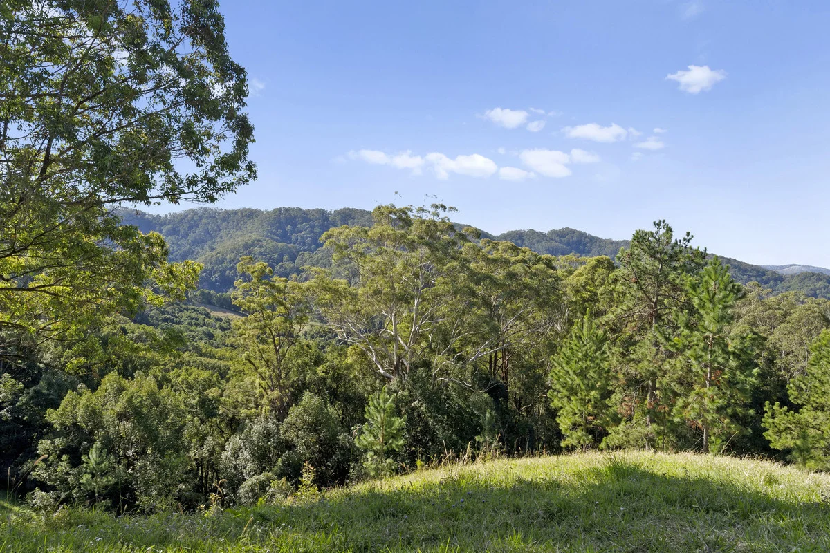 Additional image 10 of 536 Cudgera Creek Road, Cudgera Creek NSW 2484