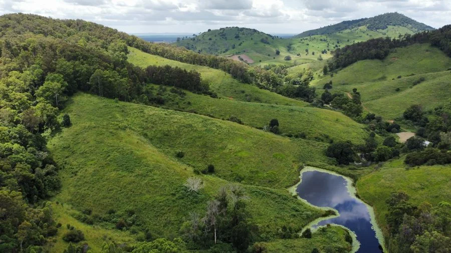 Additional image 6 of 113 Antimony Road, Neerdie QLD 4570