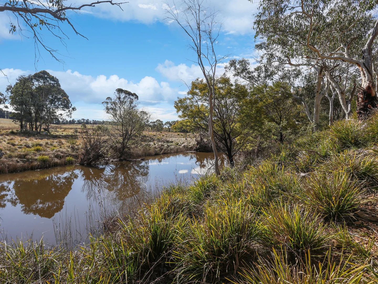 Additional image 23 of 551 Inverary Road, Paddys River NSW 2577