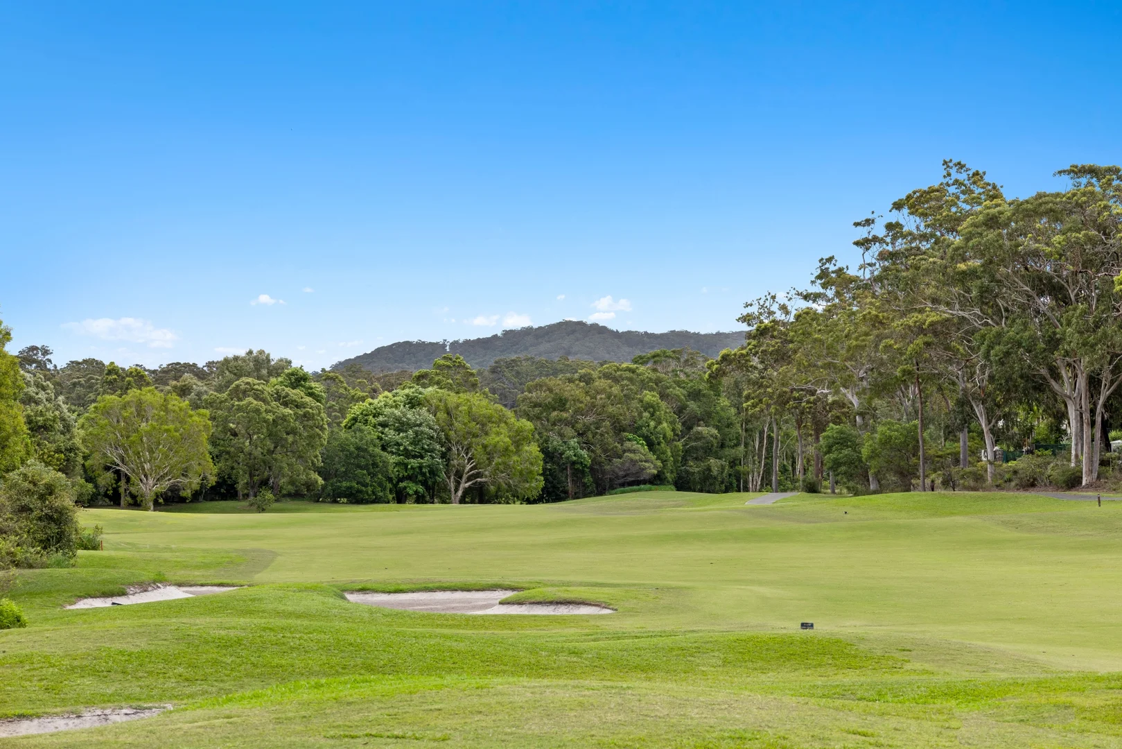 Additional image 16 of 1 Lacewood Place, Peregian Springs QLD 4573