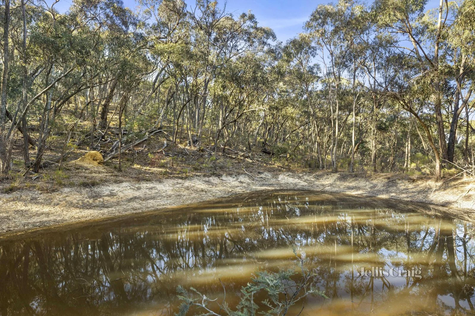 Additional image 8 of 589 Vaughan Springs Road, Drummond North VIC 3446