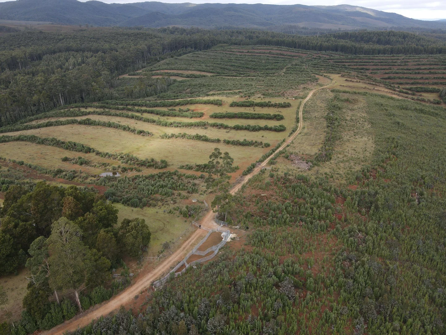 Additional image 10 of 885 Newhaven Road, Mawbanna TAS 7321