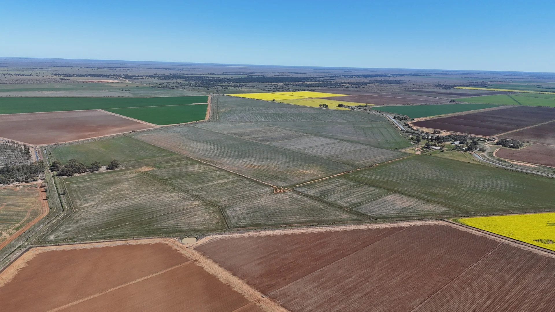 Additional image 6 of Farm 205/347 Fairlie Grange Road, Coleambally NSW 2707