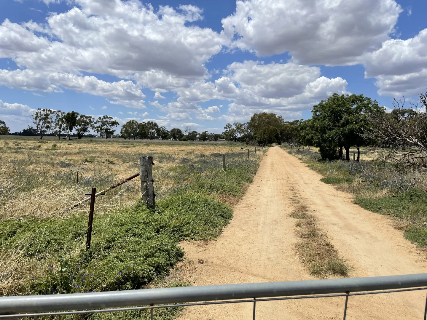 Additional image 30 of 'Yileen' 4371 Moulamein Road, Tullakool NSW 2732