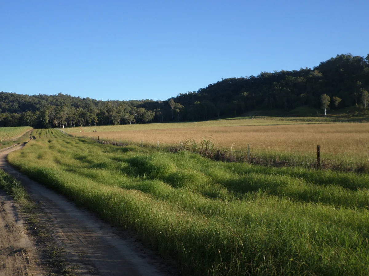 Additional image 13 of 109 Neilsen Omands Road, Septimus QLD 4754