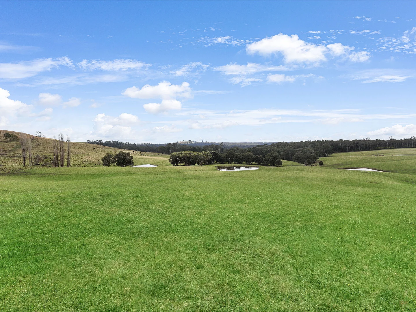 Additional image 22 of 60 Wanganderry Road, High Range NSW 2575