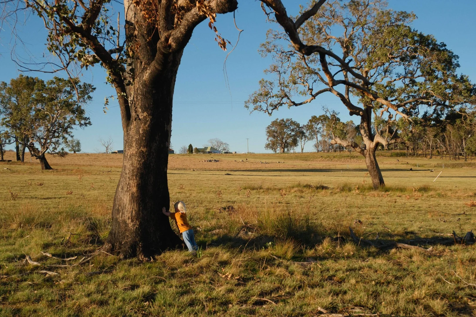 Additional image 13 of Tenterfield NSW 2372