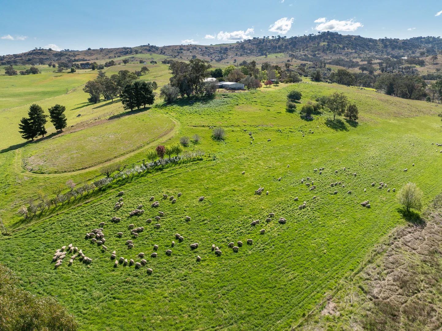 Additional image 15 of 'Angle Burn' 101 Clearview Road, Darbys Falls NSW 2793