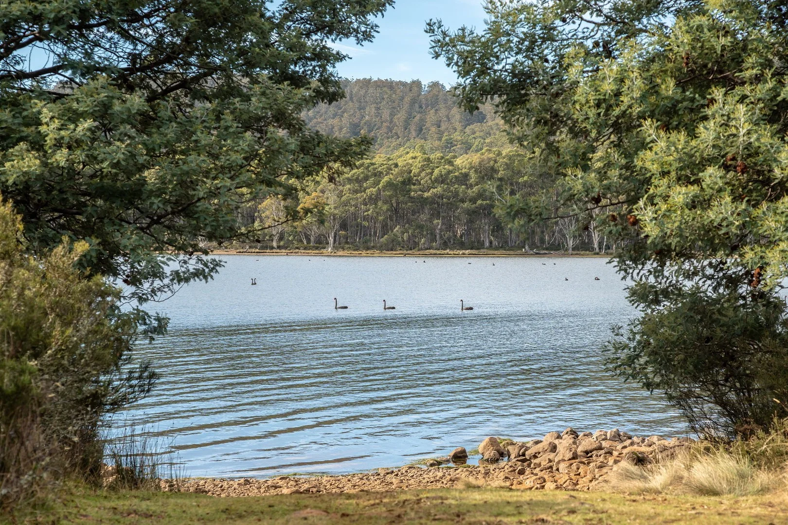 Additional image 2 of 1 & 2/172 Woodwards Bay Road, Bradys Lake TAS 7140