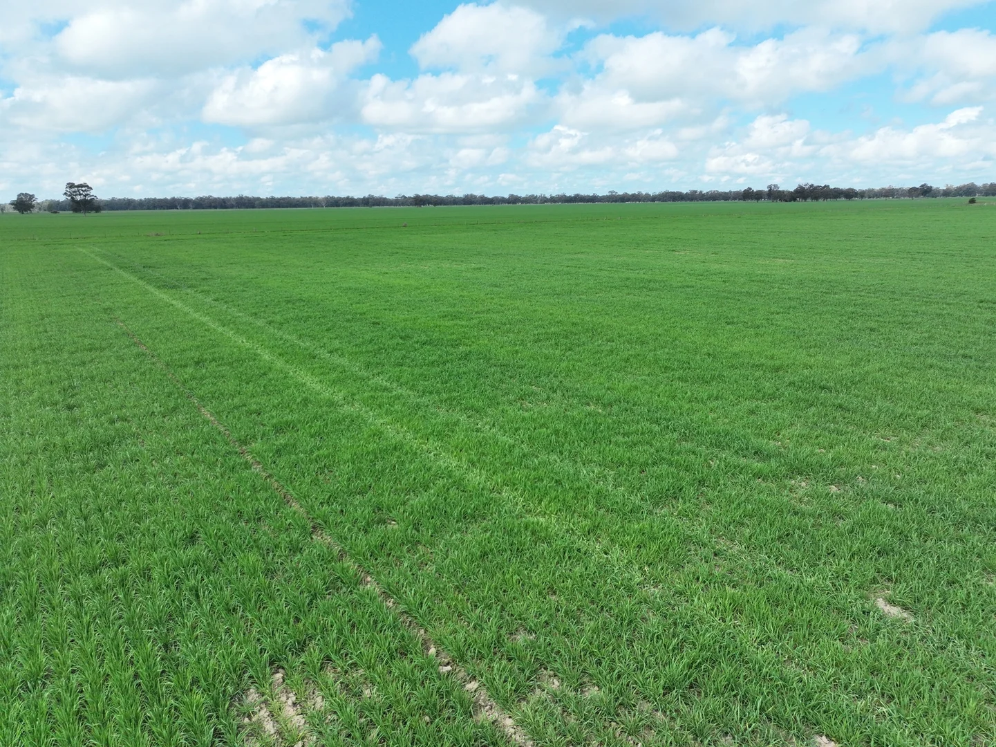 Additional image 5 of 0 Labuan Road, Numurkah VIC 3636