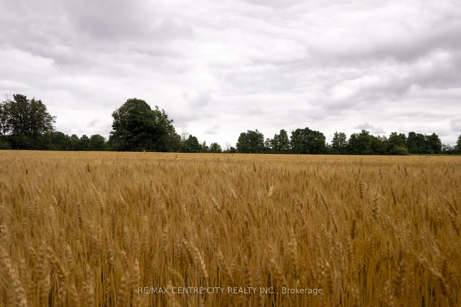 Additional image 12 of Pt Lt 6 Concession 8 Road