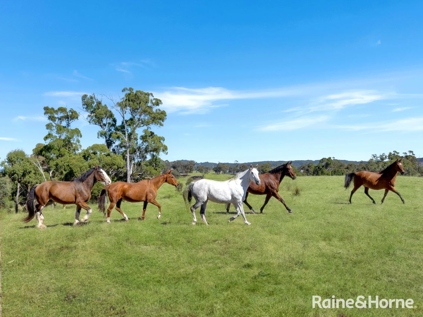 Additional image 12 of Part/2899 Great Western Highway, Meadow Flat NSW 2795