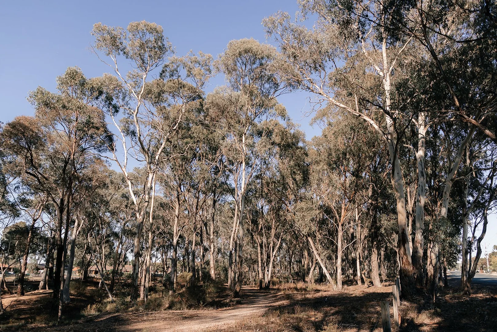 Additional image 11 of Lot 18 Langhorne Close, Eaglehawk VIC 3556