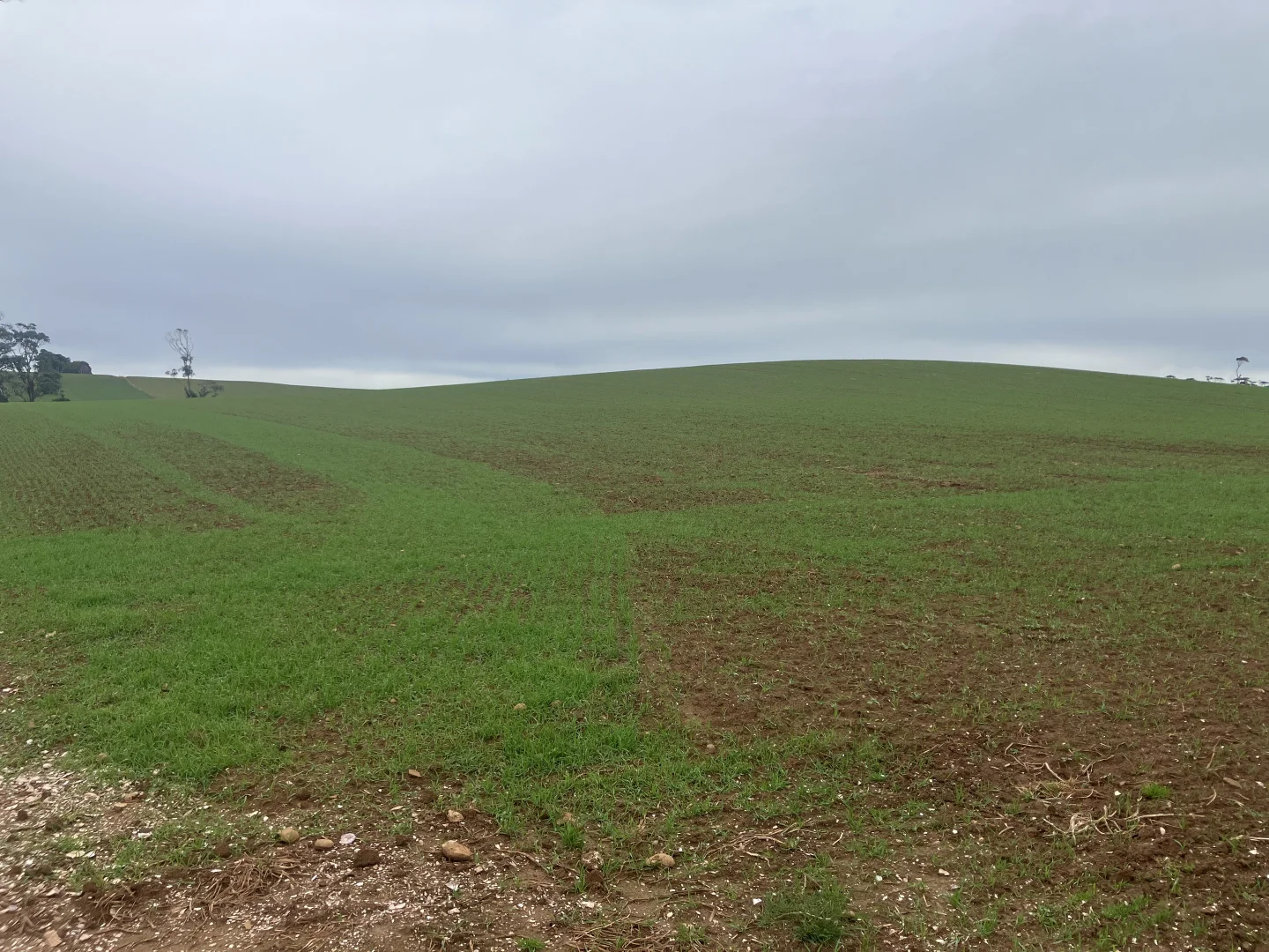 Additional image 4 of 67 Myrtle Grove Road, Wiltshire TAS 7321