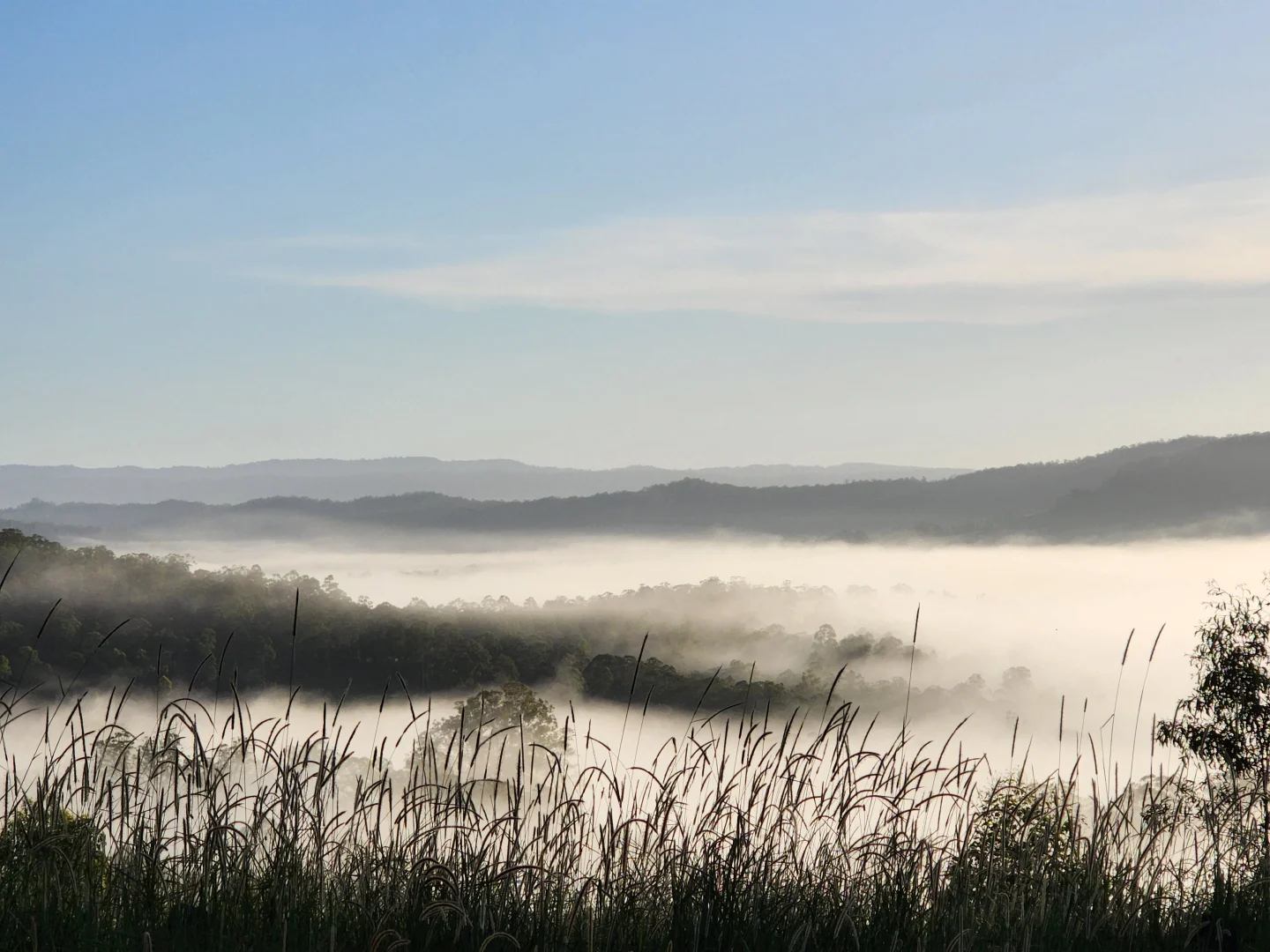 Additional image 18 of 497 Yabbra Road, Yabbra NSW 2469