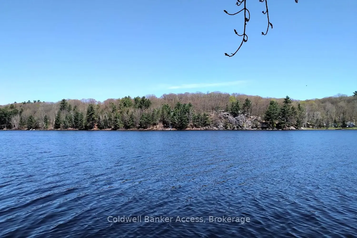 Additional image 7 of 153 Highway 124