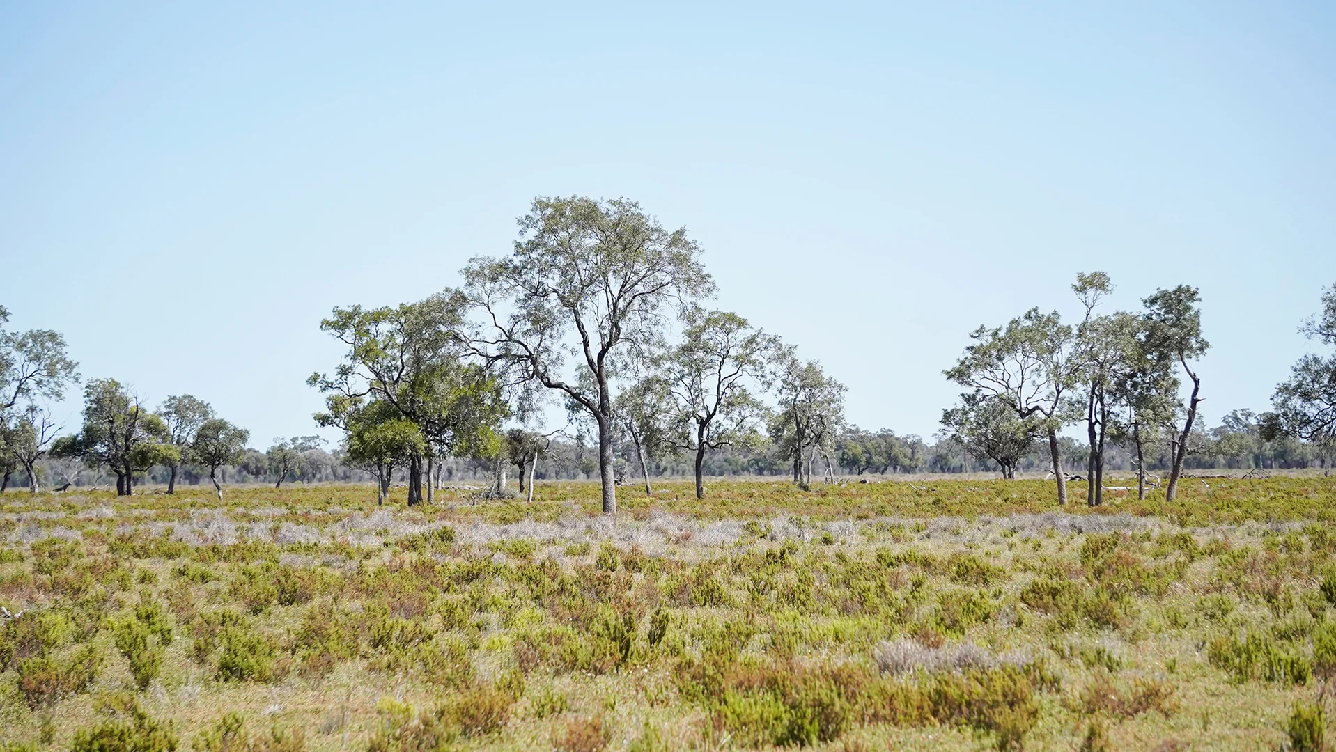Additional image 4 of 1378 Keewong Lane, Coonamble NSW 2829
