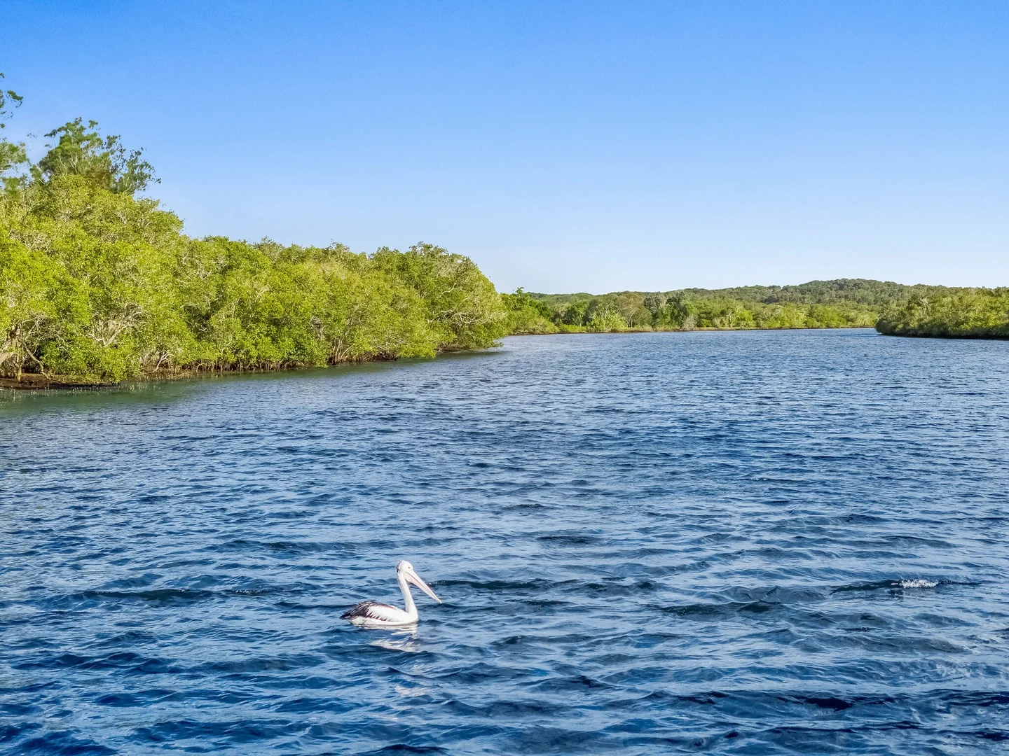 Additional image 31 of 2 Short Street, New Brighton NSW 2483