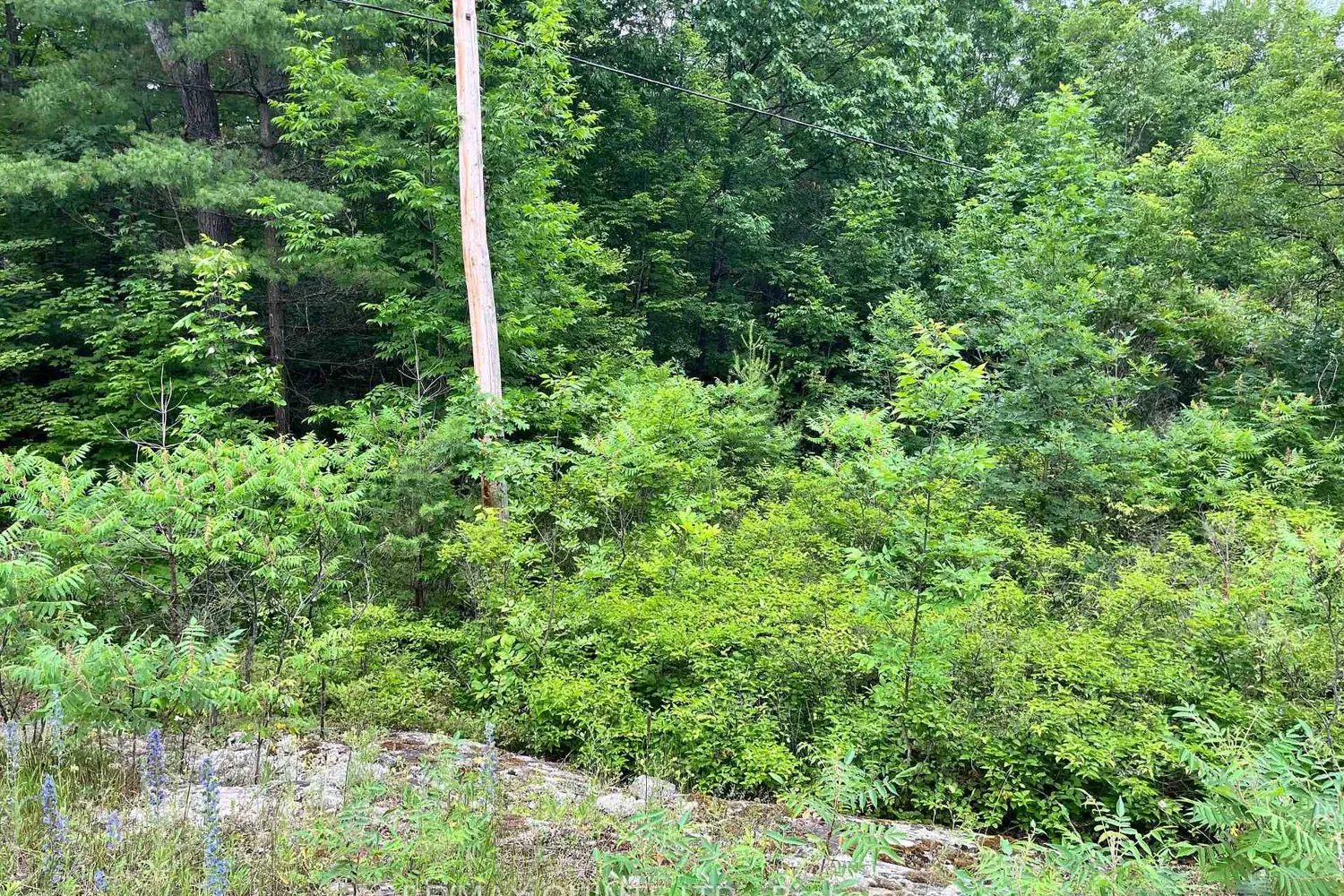 Additional image 3 of 0 (Pin - 40264-0091) Potter Settlement Road