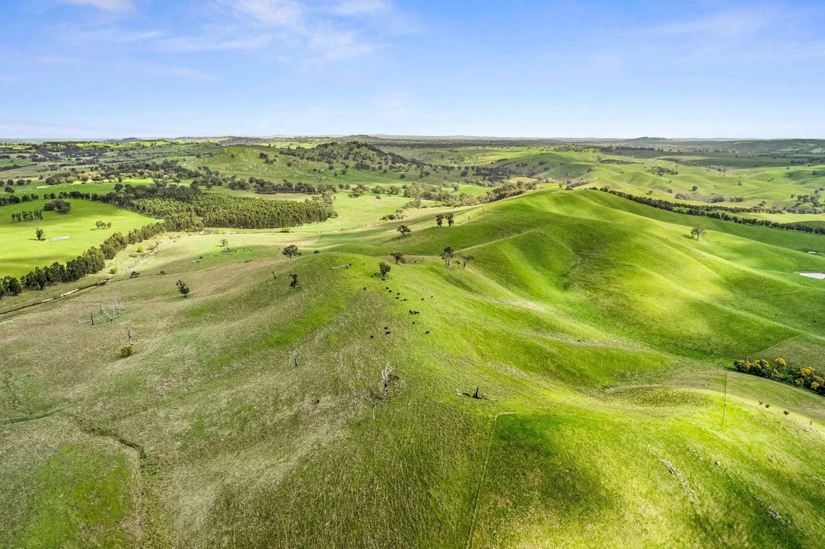 Additional image 7 of Lot 15G/362 Watchbox Road, Barfold VIC 3444