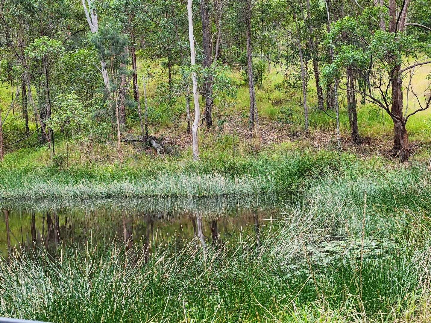 Additional image 21 of 497 Yabbra Road, Yabbra NSW 2469