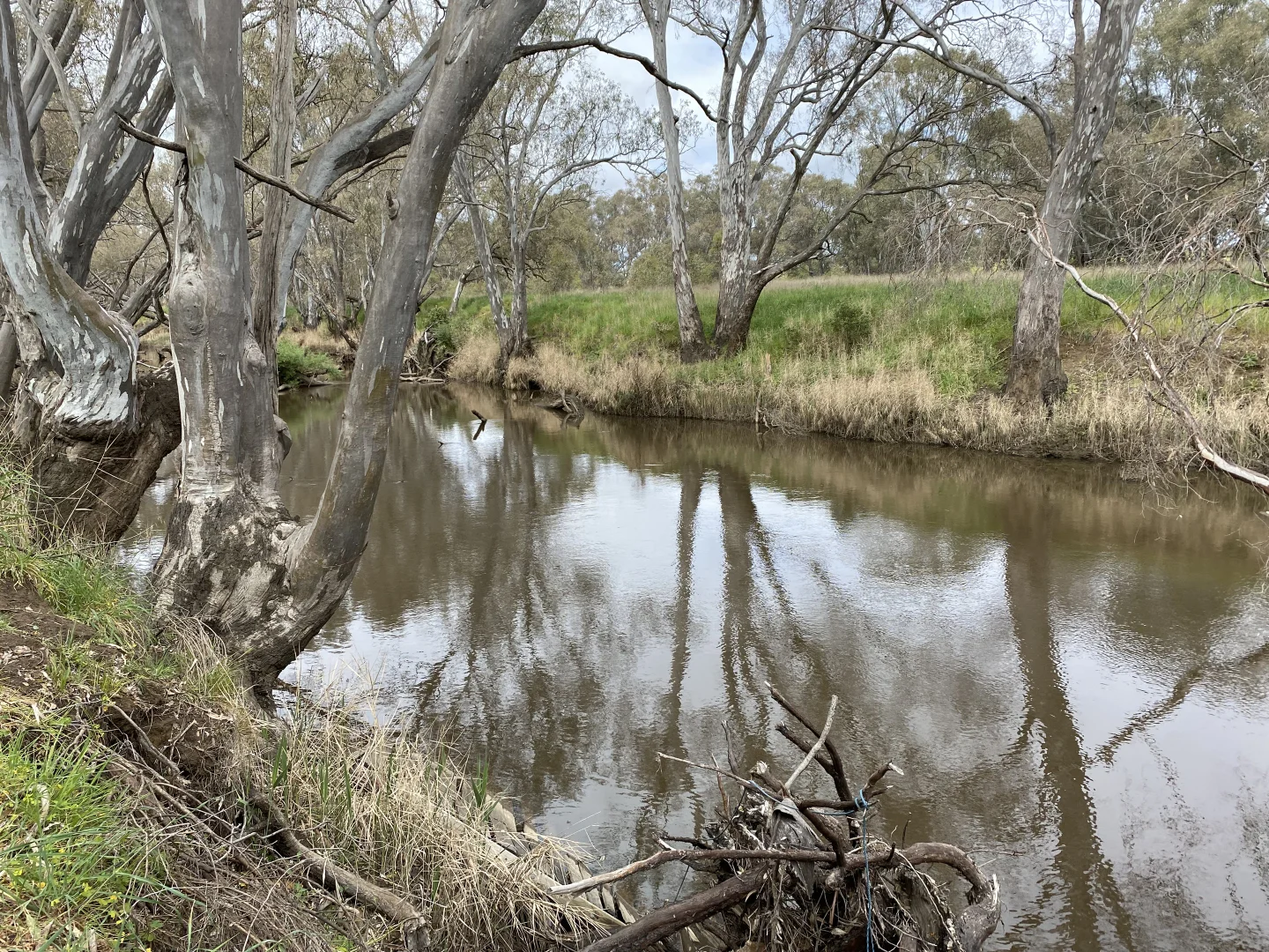 Additional image 7 of Lot 14 Browne Lane, Muskerry VIC 3557