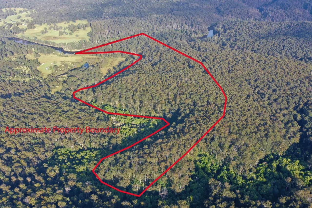 Additional image 23 of 59B Burgess Track, Wallagaraugh, Genoa VIC 3891